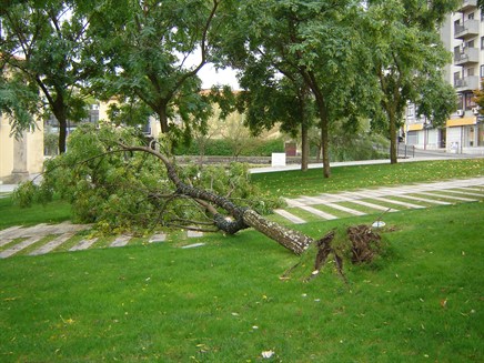 Pel cairam 03.JPG